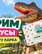 Бонусы за пополнение карты в "Луки Парк"!